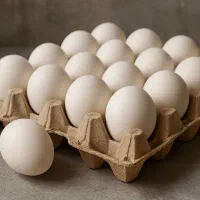 پخش تخم‌مرغ‌های تازه با زرده طلایی و درشت