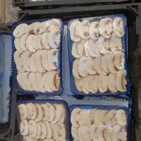 فروش قارچ|عمده‌فروشی|تهران, ترمینال غرب|دیوار