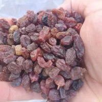 کشمش آفتابی