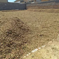 پوست بادام خشک|لوازم جانبی حیوانات|سامان, |دیوار