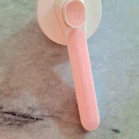 پامر روباهی خرسی|سگ|شیراز, کوشک میدان|دیوار