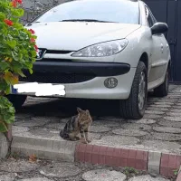 پژو ۲۰۶ صندوقدار