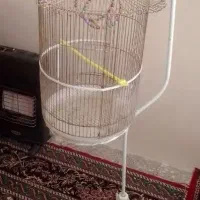 قفس عروس هلندی