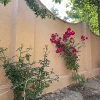 کاهگل ضدآب