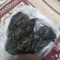 مومنایی رسید