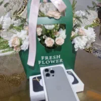 گوشی آیفون ۱۶ پرومکس در حد نو