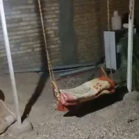 تاب حیاط|صندلی و نیمکت|تاکستان, |دیوار