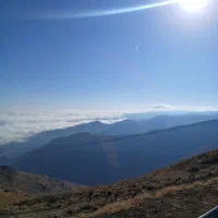 نیازمند نیروی کار   (اقا)  فوری