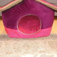 باکس حیوانات خانگی