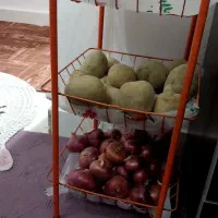سبد|آب‌چکان و نظم‌دهنده ظروف|اهواز, کوی مهدیس|دیوار