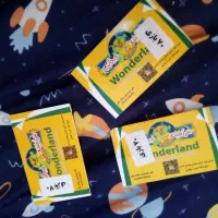 بلیط شهر بازی سرزمین عجایب