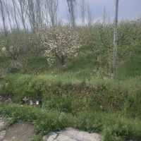 فروش خونه باغ به مساحت ۵۳۰۰