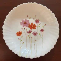 خورش‌خوری آرکوپال