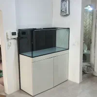 اکواریوم ریملس