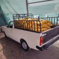 وانت بارباکارگر