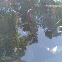 ثبت|خودرو سواری و وانت|جیرفت, |دیوار