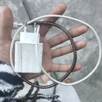 شارژر شیامی