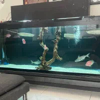 اکواریوم بزرگ و لوازم