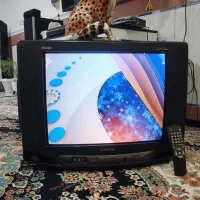 تلویزیون 21 سامسونگ