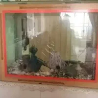 فروش فوری آکواریوم با تمام تجهیزات