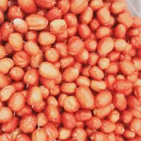 سنجد تازه وخوشمزه|خوردنی و آشامیدنی|ایلخچی, |دیوار