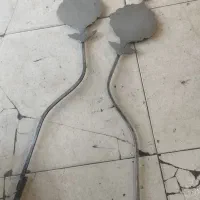دوعدد هفت پری ودوعدد دم طاووس علامت