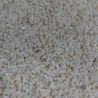 نیمه دانه هاشمی معطر|خوردنی و آشامیدنی|تهران, علم و صنعت|دیوار