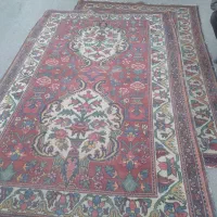 قالی شویی حیدرآباد زیار