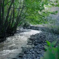 تور
