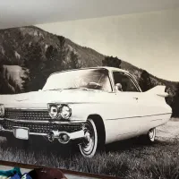 نصاب کاغذدیواری ،نقاشی سقف تمام مناطق|خدمات پیشه و مهارت|تهران, امام زاده حسن|دیوار