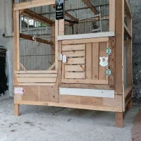 قفس انواع پرندگان زینتی