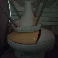 دوعدستشویی فرنگی