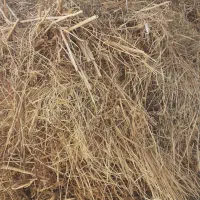 ۲۳۰بسته علف بسته بندی شده با دست