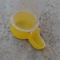 فقس و تمامی لوازم نگه داری طوطی سانان|لوازم جانبی حیوانات|فردوس (خراسان), |دیوار