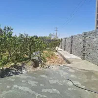 300متر-باغچه-چهار-دیواری-شده-با-درختان-مثمر