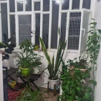 فروش ویلایی سمت راست