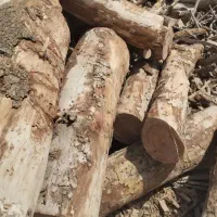 چوب|خدمات باغبانی و درختکاری|شهریار, رزکان|دیوار