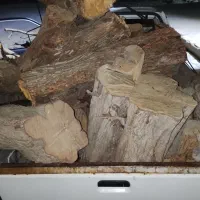 چوب مورد.وچوب بید. وزن 2تن