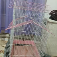 قفس پرنده|لوازم جانبی حیوانات|مشهد, بلال|دیوار