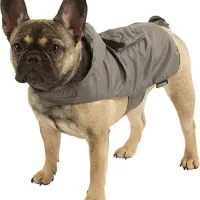 کاپشن بارانی تدی سگ کربل kerbl Seattle raincoat