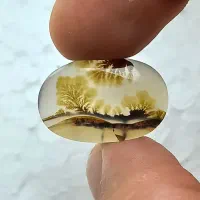 شجر منظره