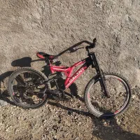 دوچرخه ارجینال