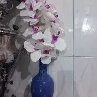 گل ، وگلدان سفالی