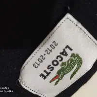 بافت خارجی مارک لاگوست اصل|لباس|همدان, |دیوار