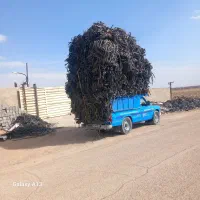 ضایعات نوارقطره ی تیپ