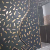 گچکاری ساختمان