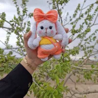 خرگوش راپونزل
