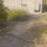 ۱۰۰۰ متر باغ آبگویه|فروش زمین و ملک کلنگی|جنت, |دیوار