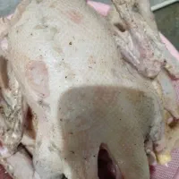 غاز پاک کرده