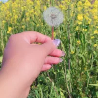 واگذاری کافه قهوه 450میلیون تومان